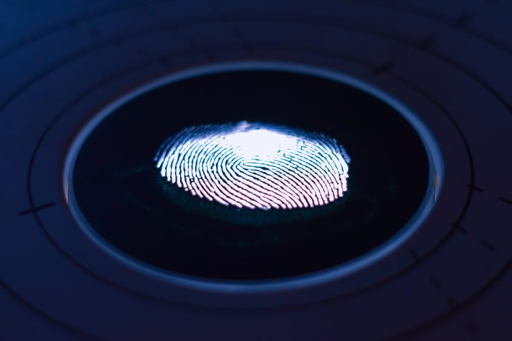 Democrat Lawmakers Push for Biometrically Synced Digital IDs: Privacy Concerns Ignite Debate post image