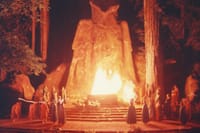 Secret No More: Bohemian Grove's Alleged Member List Leaked, Exposing 2,200 Names from America's Most Powerful Elite post image