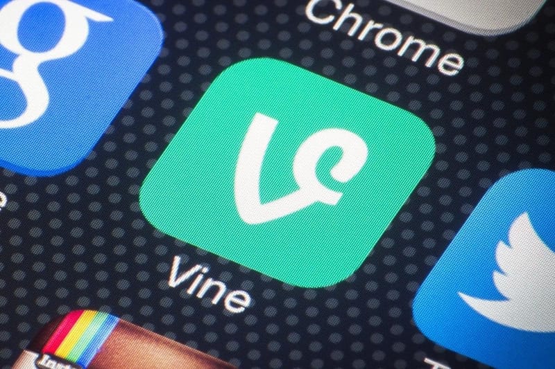 Elon Musk Announces AI-Powered Vine Revival on X, Promising a New Era of Short-Form Video post image